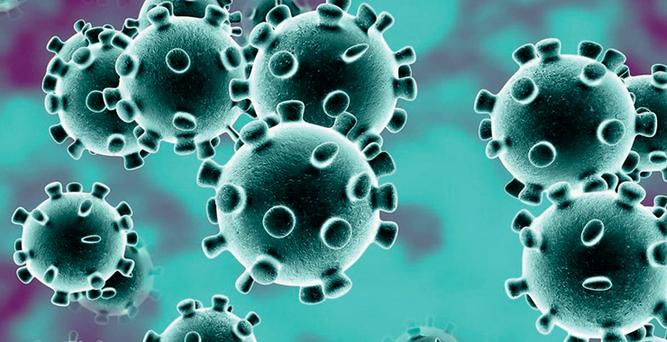 EvdeHayatVar |Korona virüsünden Pandemik Risk Havuzu'na ...